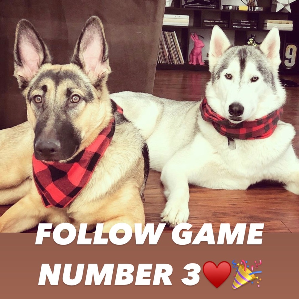 PLEASE UNLIKE THIS POST AND LIKE NEW GAME #4💙💙 THANK ALL OF YOU SO MUCH🎉🎉 - Picture 1 of 1